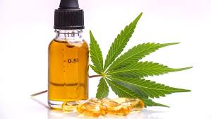 The Definitive Guide to CBD for Dog Anxiety: Scientific Facts and Expert Advice