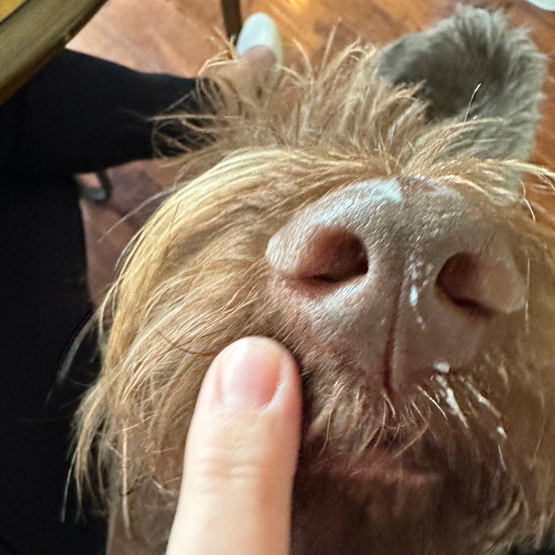 Soothe All Natural Boop Balm