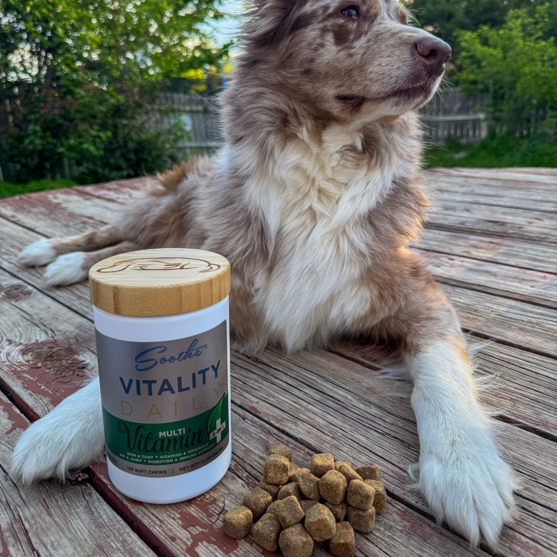 Soothe Vitality Daily Multi Vitamin for Dogs
