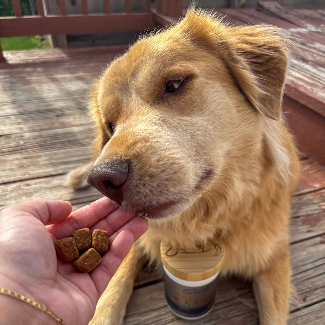 Soothe Salmon Bites Skin and Coat Care