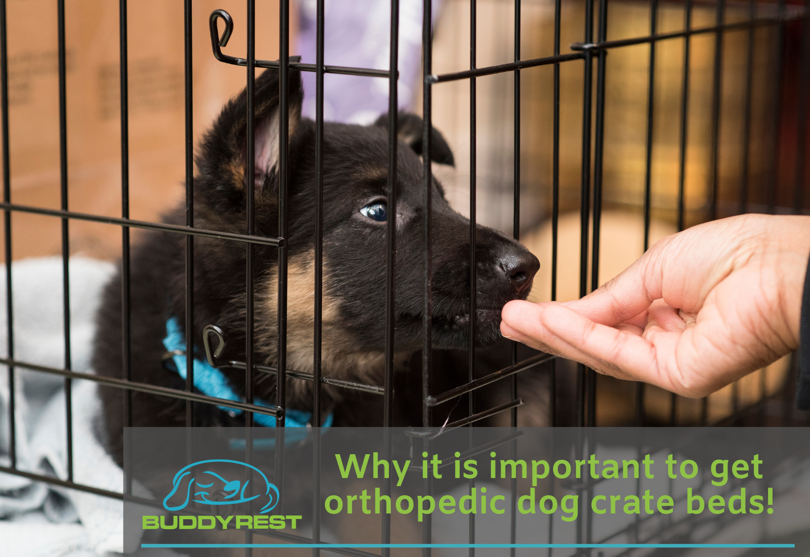 Orthopedic dog crate hot sale beds