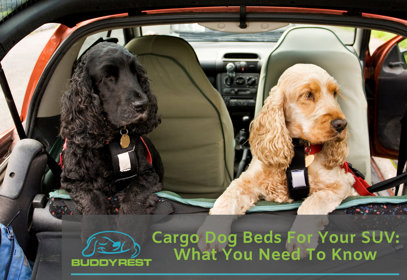 Cargo Dog Beds for Your SUV: What You Need to Know