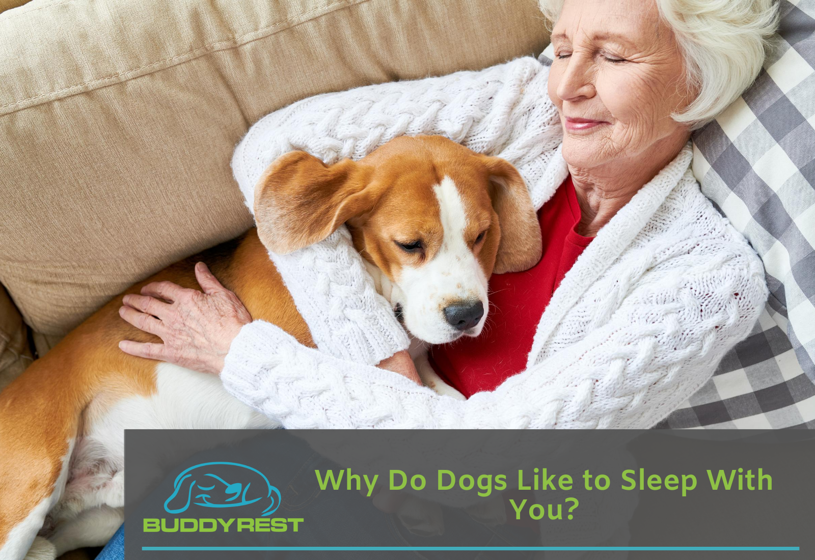 Why Do Dogs Like to Sleep With You