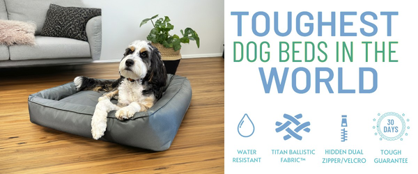 Chew Proof Dog Beds Indestructible Durable Dog Beds by BuddyRest