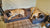 two large mastiffs laying on their own mocha buddyrest romeo dog beds