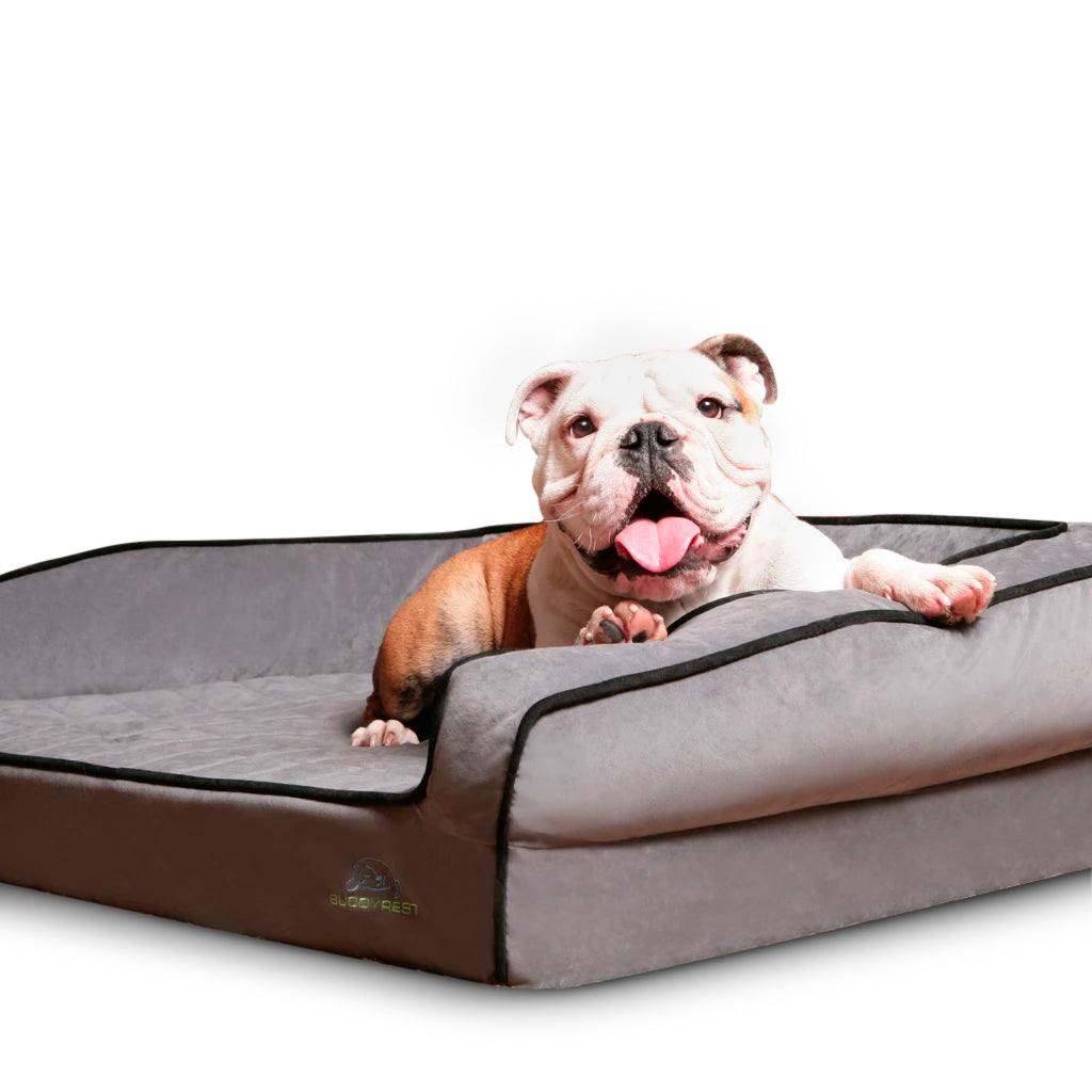 Crown Supreme Ortho Dog Bed BuddyRest