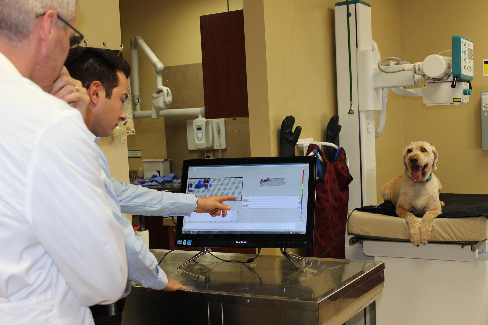 buddyrest comfort deluxe at vet office using pressure mapping technology