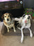 brown and white dog and black and white dog both sitting on a mocha buddyrest crown supreme dog bed