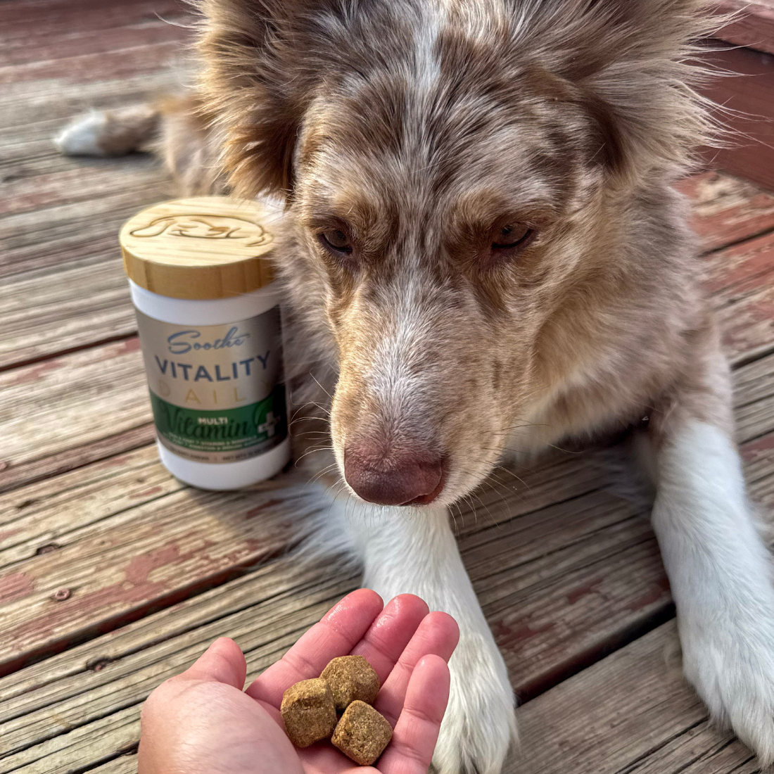 Soothe Vitality Daily Multi Vitamin for Dogs