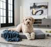 Deluxe Buddy Bed – Advanced Orthopedic Memory Foam Dog Bed for Pain Relief &amp; Joint Support