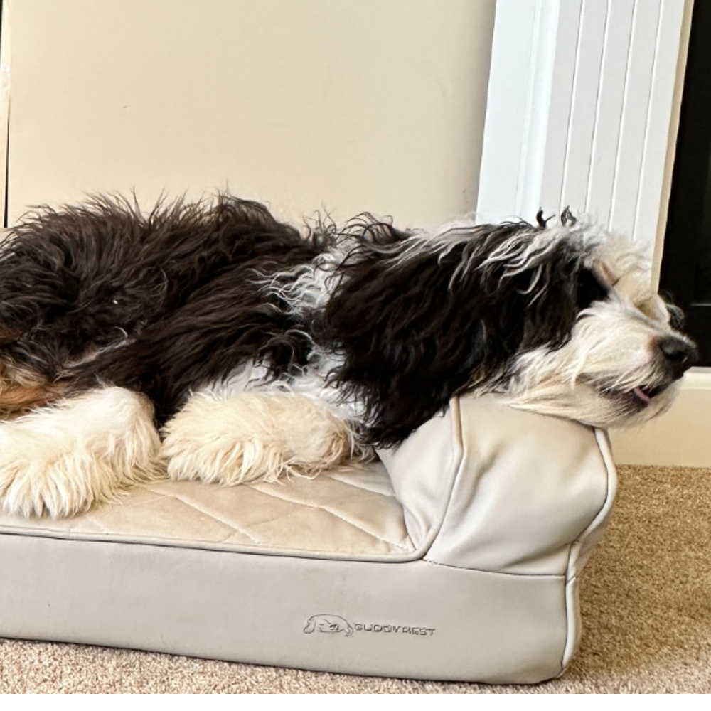 Cream Grand Supreme Leather Dog Bed