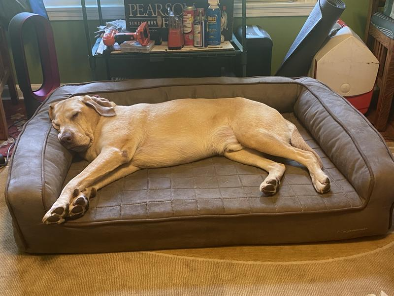 Orvis indestructible best sale dog bed