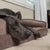 black dog sleeping on mocha buddyrest crown supreme dog bed
