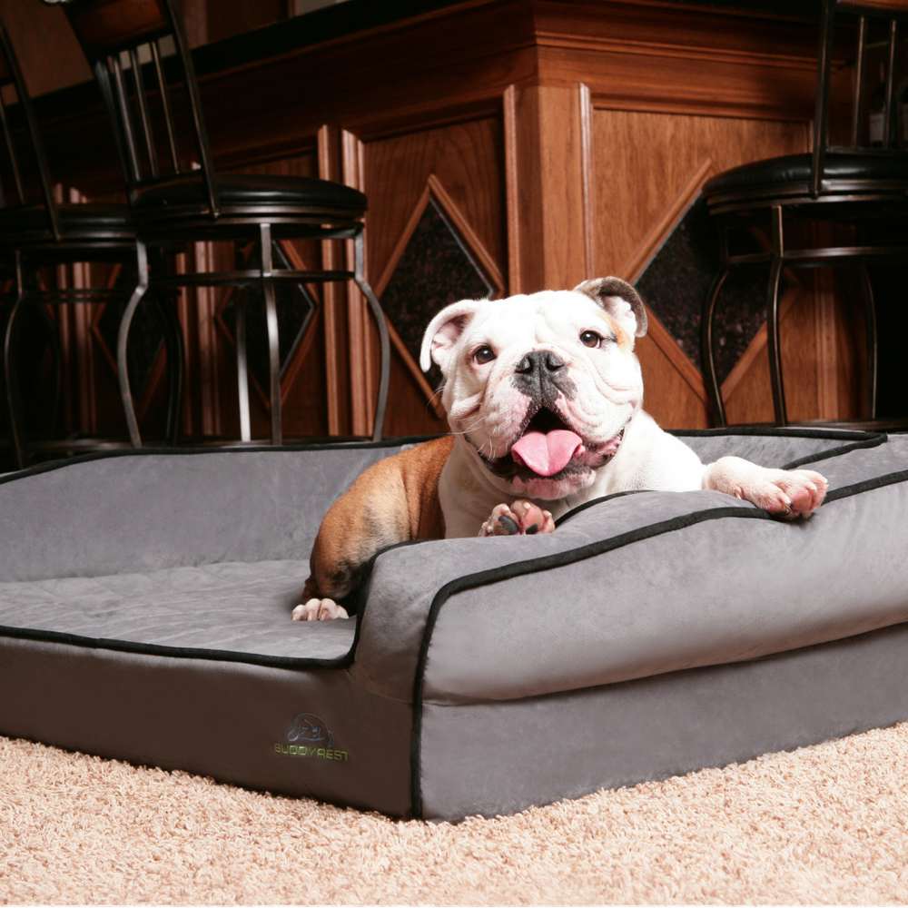 Orthopedic Dog Beds | Premium Support for Dogs | BuddyRest