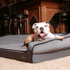 Crown Supreme Ortho Dog Bed
