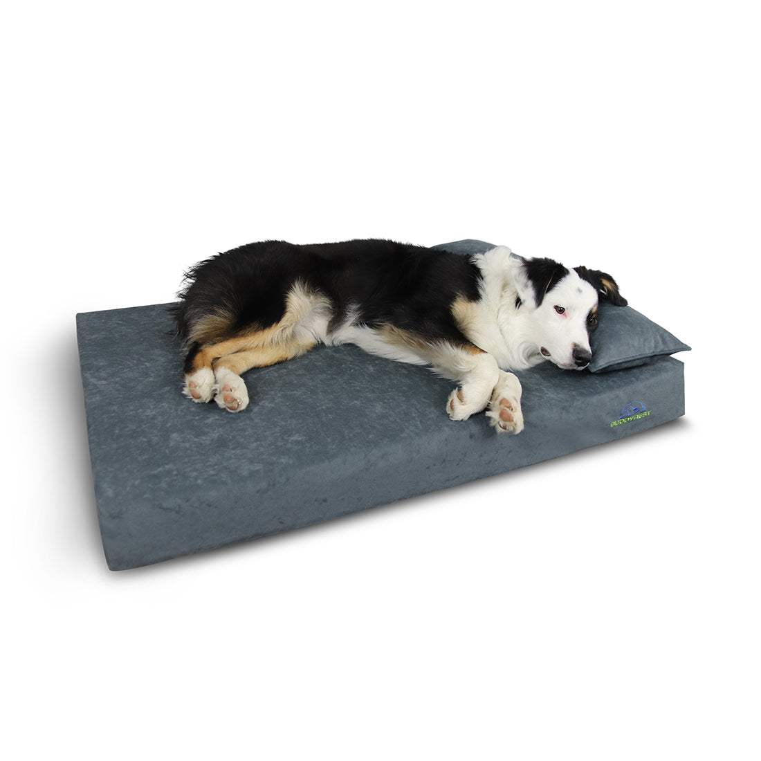 Pawsh Bolster Dog Pillow