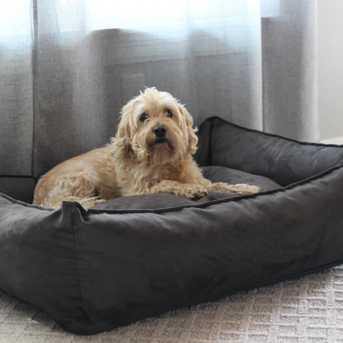 Hund comfort top plus dog mattress