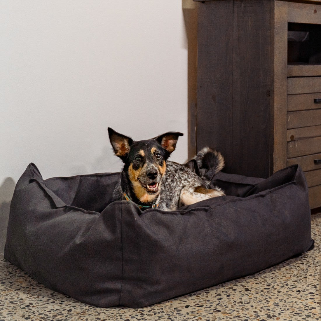 Tough stuft shop dog bed